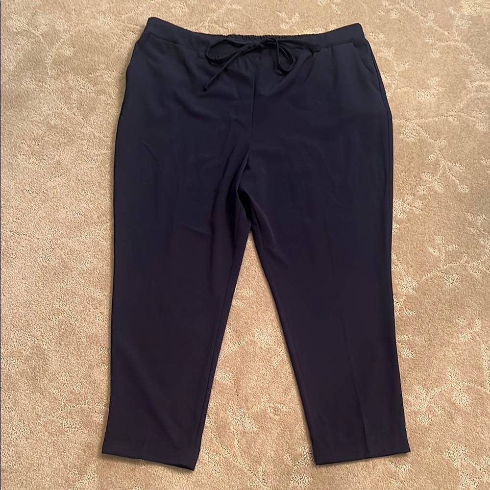 NWT New York & Company Black Pull On Cropped Pants, XXL